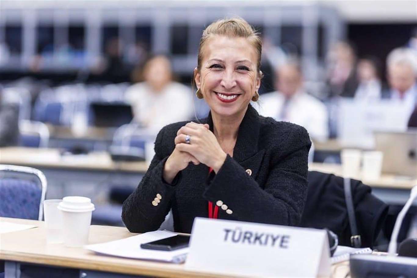 CHP'li Süreyya Öneş Derici, NATO PA Genel Kurulu'na katılacak haberi